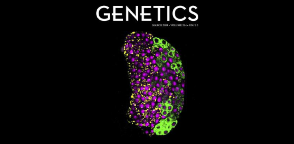 Genetics Knowledge Trivia! 7th Grade Quiz - ProProfs Quiz